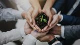 Environment Management Certificate course