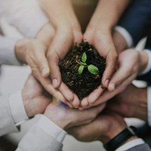 Environment Management Certificate course